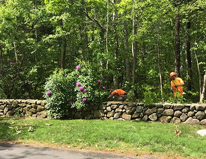  Professional Tree & Landscape Construction, landscaping in East Freetown, Landscape Construction in Plymouth County, Landscape Maintenance, tree services, Fence Installation, Custom Stone Work, Landscape Services in East Freetown, Tree Removal, Stump Grinding, Excavating, Lawn Irrigation, Sprinkler Systems, Landscape Lighting, Patios and Walkways, Hardscaping and Pavers, Lawn and Yard Work, Mulch and Topsoil, Leaf Removal, Firewood, landscaping in Plymouth County , landscaping in Bristol County, Norfolk County MA, East Freetown MA